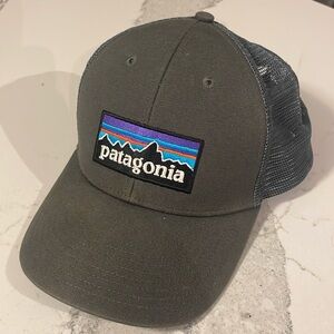 Patagonia snapback hat